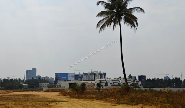 Boundary Grading Boundary development with graded earth surfaces alongside tall natural palm trees at Sobha One Residences