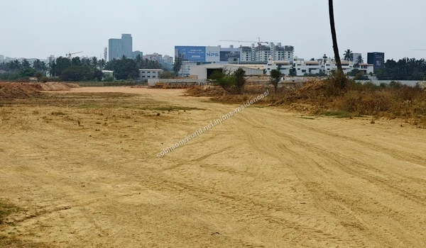 Sandy Road Layout Curved compacted sandy road layout bordering the existing palm trees at the Sobha One Residences location