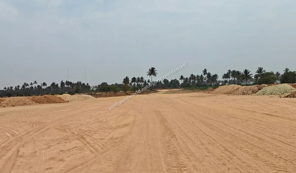 Pathway Clearing Graded pathways and cleared sections with palm trees bordering the Sobha One Residences site