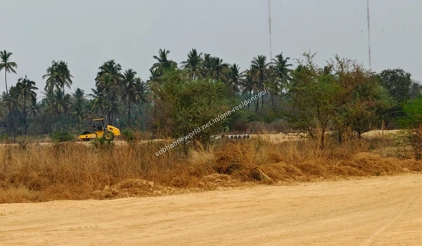 Perimeter Access Path Freshly compacted sandy access pathways curving along the palm tree-lined perimeter of Sobha One Residences