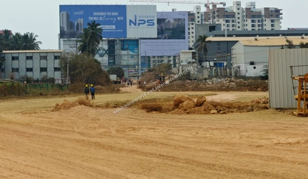 Sandy Terrain Boundary Cleared sandy terrain boundaries accented by tall existing palm trees at the Sobha One Residences development